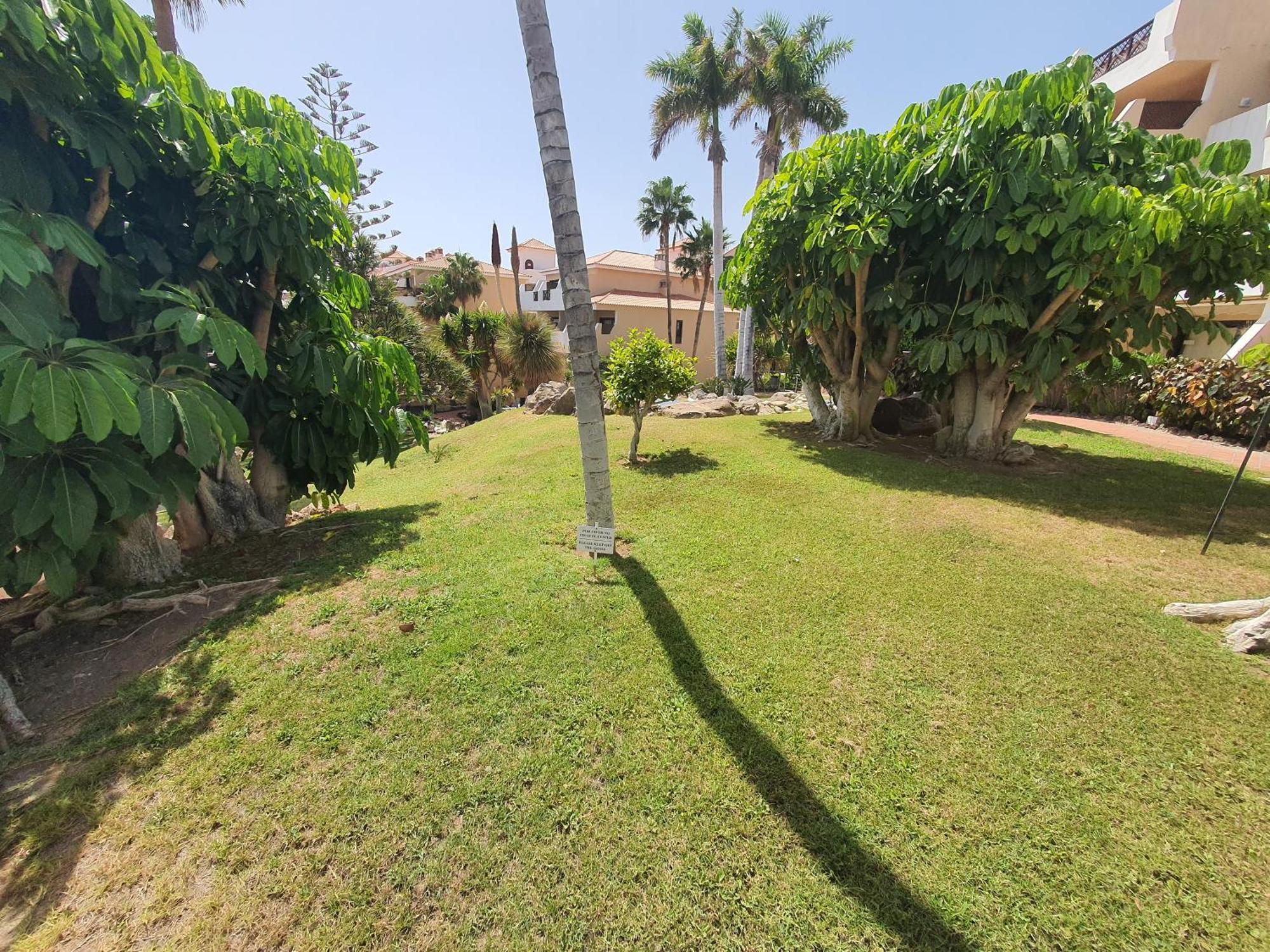 Pambnb - Sea Breeze Loft Parque Albatros *